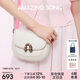 Amazing Song乙頌[七夕禮物]明星同款栗子包小號單肩斜挎包女包高級感馬鞍包