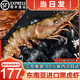 海澤鮮 原裝進(jìn)口越南黑虎蝦超大特大號大蝦 巨型老虎蝦海蝦對蝦生鮮蝦類(lèi) 超大8只- 800g(凈重)  -長(cháng)22-25cm