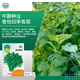 京農(nóng)研農(nóng)科院蔬菜種子大葉香菜四季小蔥雞毛菜紅莧菜芝麻菜空心菜種籽孑 中蔬香怡香菜5克 耐熱型四季易種