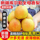 新疆庫(kù)爾勒香梨全母梨大果 脆甜無(wú)渣香梨梨子 新鮮水果 3斤小果嘗鮮-中通