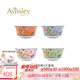 AYNSLEY英國安斯麗小屋花園溫莎系列骨瓷飯碗湯碗歐式餐具陶瓷高顏值家用 4只裝面碗 15.6cm