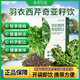 西芹奇亞籽羽衣甘藍可以喝的蔬菜沙-營(yíng)養口感好,條形包裝方便攜帶 【20天自律】羽衣西芹奇亞籽飲*4盒