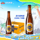 青島啤酒皮爾森拉格 精釀全麥啤酒 330ml*24瓶整箱裝 日常送禮