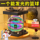 貝初眾十歲男孩生日禮物10-12發(fā)光籃球男生高檔實(shí)用禮盒7-14小學(xué)生兒童9 【反光】星光彩虹籃球+精美禮盒 三四年級(jí)6-8七夕禮物送男友2025最火玩具的