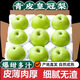 憶京源碭山青梨青皮皇冠梨新鮮水果當(dāng)季青皮梨脆甜雪梨翠冠梨整箱 5斤精選大果 【現(xiàn)摘當(dāng)天發(fā)貨】