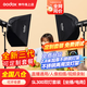 神牛（Godox）SL300W三代直播補(bǔ)光燈LED攝影套裝視頻拍攝常亮燈 SL300三代+四角柔光箱+燈架【兩燈套裝】 官方標(biāo)配