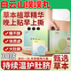 白云山噗噗丸(艾臍貼)30貼荷葉艾草噗噗丸空白貼草本家用肚臍貼艾臍貼可搭配減肥貼瘦身貼祛濕貼 一盒噗噗丸【體驗裝】