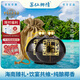 蘇仙椰情【海南特產(chǎn)】椰子酒海南島 果酒露酒椰子整個 送禮送長輩 自飲裝 42度 350mL 2瓶