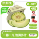 京鮮生【贈(zèng)火腿】玫瓏正宗網(wǎng)紋蜜瓜4粒 凈重8-9斤 單果2斤+ 源頭直發(fā)
