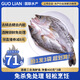 GUO LIAN國聯(lián)水產(chǎn) 酒香三去海鱸魚3條共2.4斤 海鮮魚類水產(chǎn)生鮮源頭直發(fā)