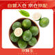 京鮮生 海南大青檸/青檸檬 8粒 單果約70-100g  生鮮水果