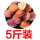 扇貝紅貝鮮活新鮮帶殼港灣批發(fā)海鮮水產(chǎn)貝類(lèi)扇貝一箱特大號 帶箱5.5-6斤凈5.03斤沖銷(xiāo)量 1g(凈重)