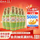 竹葉青酒 榮耀綠 清香型露酒 53度375ml*12瓶 整箱裝 送禮宴請