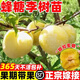 花思萱正宗蜂糖李子樹(shù)苗嫁接特大號晚熟脫骨青脆李子樹(shù)南北種植當年結果 品種備注【6公分粗/高1.5米】當年結果