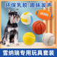 哇米雪納瑞專(zhuān)用玩具套裝耐咬發(fā)聲球寵物狗磨牙玩具小型犬幼犬成犬解悶 雪納瑞玩具5件套【橄欖球+網(wǎng)球+排球+棒球+籃球