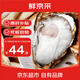 鮮京采 鮮活生蠔5XL 凈重5斤 9-12只 生鮮海鮮 中秋聚餐 源頭直發(fā)
