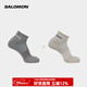 薩洛蒙（Salomon）男女款 戶(hù)外運動(dòng)休閑舒適透氣跑步長(cháng)襪子 EVASION ANKLE 2-PACK 淺灰色 C19834 L
