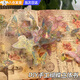硯璽蝴蝶立體書手工diy材料包復(fù)古創(chuàng)意手作幼兒園團(tuán)建親子活動(dòng)送閨蜜 【混色20只】蝴蝶立體書+送教程