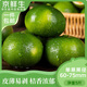 京鮮生 江西尋烏蜜桔 凈重5斤單果60-75mm 源頭直發(fā)包郵