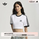 adidas三條紋修身純棉運(yùn)動上衣圓領(lǐng)短袖T恤男女夏阿迪達(dá)斯三葉草 白   XS