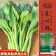 壽禾 四九菜心種子苗四季種青菜苔蔬菜籽 濰育卓嫩7號(hào)四九菜心種子50g
