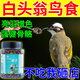白頭翁鳥(niǎo)食紅耳鵯鳥(niǎo)大山雀繡眼黃腹益生菌營(yíng)養靚羽壯膘專(zhuān)用鳥(niǎo)飼料 500g 1袋 亮羽增色