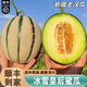 南步正宗新疆老漢瓜【順豐空運(yùn)】吐魯番特產(chǎn)火焰蜜瓜哈密甜瓜新鮮水果 冰雪皇后蜜瓜 7-8斤【2-3枚】陸運(yùn)