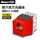 PANDUIT  泛達超六類(lèi)NK模塊超6類(lèi)萬(wàn)兆通用非屏蔽RJ45網(wǎng)線(xiàn)模塊86型單口雙口網(wǎng)絡(luò )面板 超六類(lèi)萬(wàn)兆模塊-紅色