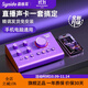 Synido森林島手機平板電腦直播外置聲卡帶貨設備麥克風(fēng)手機電腦話(huà)筒Voice100全民K歌唱歌套裝 【專(zhuān)業(yè)套裝版】VOICE100聲卡+手持動(dòng)圈擴音器