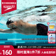 速比濤（Speedo）泳褲男日常訓(xùn)練專業(yè)高彈舒適側(cè)面印花抗氯防曬防尷尬平角游泳褲 黑色/中國(guó)紅 XL (38) 身高185/體重90腰圍/97