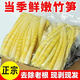 鮮竹筍【脆嫩爽口】清水竹筍火鍋食材新鮮脆嫩細小竹筍筍尖twc 【優(yōu)惠裝】鮮竹筍500g*2袋 清水系列【涼拌/火鍋/麻辣燙/泡