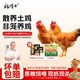 楊博士 皖南散養(yǎng)仔公雞2只黑豬肉包子3袋組合 凈重2.6斤 生鮮源頭直發(fā)