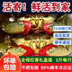 【包活到貨】東山島野生紅膏母蟹青蟹鮮活螃蟹特大公蟹中秋禮盒 紅膏母蟹1斤【共2只】