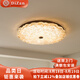 帝贊美式臥室吸頂燈中古風(fēng)客廳主燈復(fù)古風(fēng)照明臥室燈房間燈中山燈具 【中號(hào)】直徑40cm-無極調(diào)光