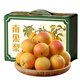 京鮮氣遼寧鞍山南果梨 新鮮當季南國梨東北特產(chǎn)香水梨小酸梨整箱禮盒 甄選優(yōu)+5斤【實(shí)惠無(wú)禮盒】