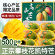 京地達攀枝花凱特芒果凈重8.8斤單果500g+新鮮大芒果中秋水果源頭直發(fā)