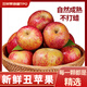 騎猴趕馬丑蘋(píng)果新鮮水果冰糖心蘋(píng)果當季丑蘋(píng)果新鮮時(shí)令水果蘋(píng)果9斤 單果65mm+（凈重8斤） 【個(gè)頭雖小，口感不錯】
