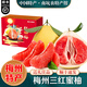 桃西村梅州三紅蜜柚【順豐速發(fā)】知秋夢(mèng)紅心蜜柚新鮮水果禮盒中秋團購 凈重12斤 三紅柚【3-4個(gè)裝】禮盒