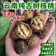 【6.6w 人收藏25年新貨】云南百年純古樹(shù)丑核桃高山野生薄皮孕婦 云南古樹(shù)老品種薄皮核桃5斤 薄皮生態(tài)果精品果（留言送夾）