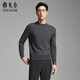 雅戈爾【全羊毛】秋冬季男士半高領(lǐng)毛衫商務(wù)休閑易打理打底衫 619963C