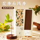 易席天然桂花線(xiàn)香鵝梨帳中香檀香沉香香薰家用室內持久留香除臭熏香 天然香/花香系列-送實(shí)木香座 【全網(wǎng)爆款】桂花香-約200支