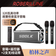 ROBERILLINE德國柏林之聲巨炮120W藍牙音響K歌高音質(zhì)便攜式音響家用室外重低音大功率立體聲廣場(chǎng)舞K歌無(wú)線(xiàn)音響 銀灰色120瓦低音炮+遙控器+【2支無(wú)線(xiàn)話(huà)筒】