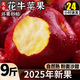 甘肅天水花牛蘋(píng)果9斤整箱新鮮水果當季正宗蛇蘋(píng)果粉面寶寶輔食 凈重3斤小果【60-69mm】