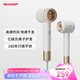 夏普家用吹風(fēng)機(jī)大功率負(fù)離子電吹風(fēng)低噪音護(hù)發(fā)高速風(fēng)干不傷發(fā)升級(jí)款I(lǐng)B-RP47C-C【七夕情人節(jié)禮物】