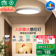 雷士（NVC）護眼客廳吸頂臥室全光譜客廳燈智能遙控簡約高級感燈具未來光 24W 8㎡內適用 2120lm 雷達感應玄關燈