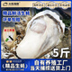 耀合莊【送貨上門(mén)】精品生蠔鮮活5斤特大海蠣子牡蠣新鮮活生蠔 生蠔（1.5-2兩）帶箱5斤-特惠款