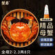 【活蟹】蟹爵大閘蟹鮮活全母2-2.3兩8只 螃蟹現(xiàn)貨海鮮生鮮禮盒