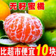 正宗江西贛南蜜桔信豐蜜桔青皮薄酸甜桔子無(wú)籽蜜橘子新鮮孕婦水果 精品5斤裝 彩箱裝  中果