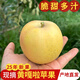 小城外陜西黃嘎啦蘋果 應(yīng)季生鮮水果 2斤