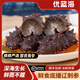 優(yōu)藍海即食鮮海參遼參深海高品質(zhì)鮮活遼刺參年貨送禮海鮮水產(chǎn)中秋送禮 【精選實惠】（16-20頭 ） 精美禮盒2